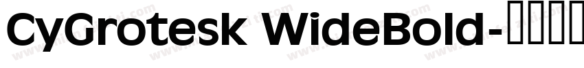 CyGrotesk WideBold字体转换